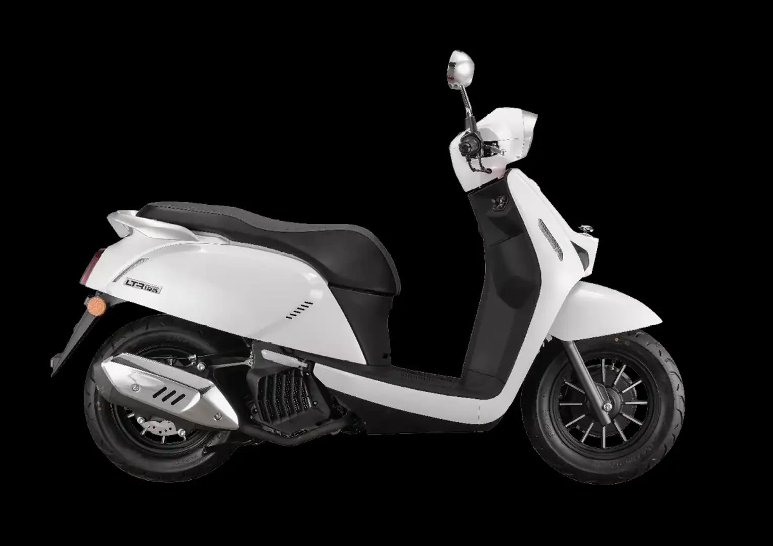 QJ Motor Wit - 1