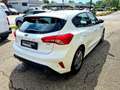 Ford Focus 1,0 EcoBoost ST-Line Business Weiß - thumbnail 4