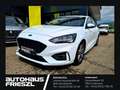 Ford Focus 1,0 EcoBoost ST-Line Business Weiß - thumbnail 1