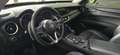 Alfa Romeo Stelvio Executive Q4 210cv *motore nuovo Gar Alfa 2anni* - thumbnail 13
