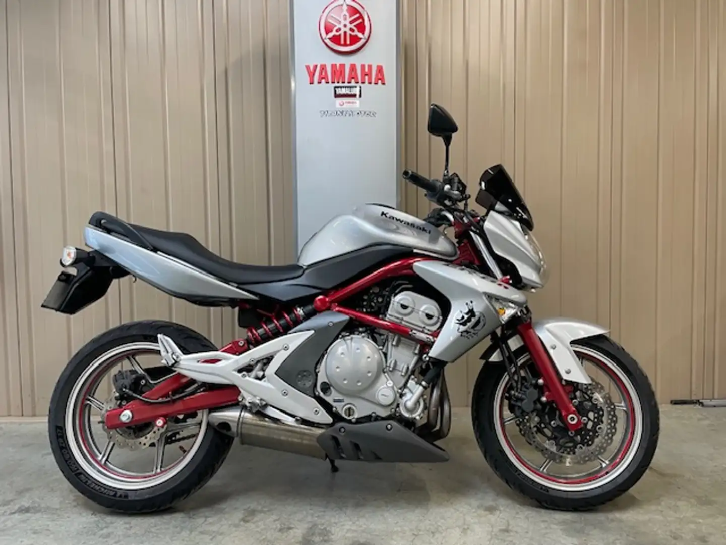 Kawasaki Gris - 2