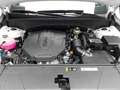 Kia Sorento SORENTO 2.2 CRDI AWD DCT8 PLATINUM MJ25 LEDER NAPP Blanc - thumbnail 16
