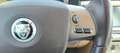 Jaguar XF Gris - thumbnail 14