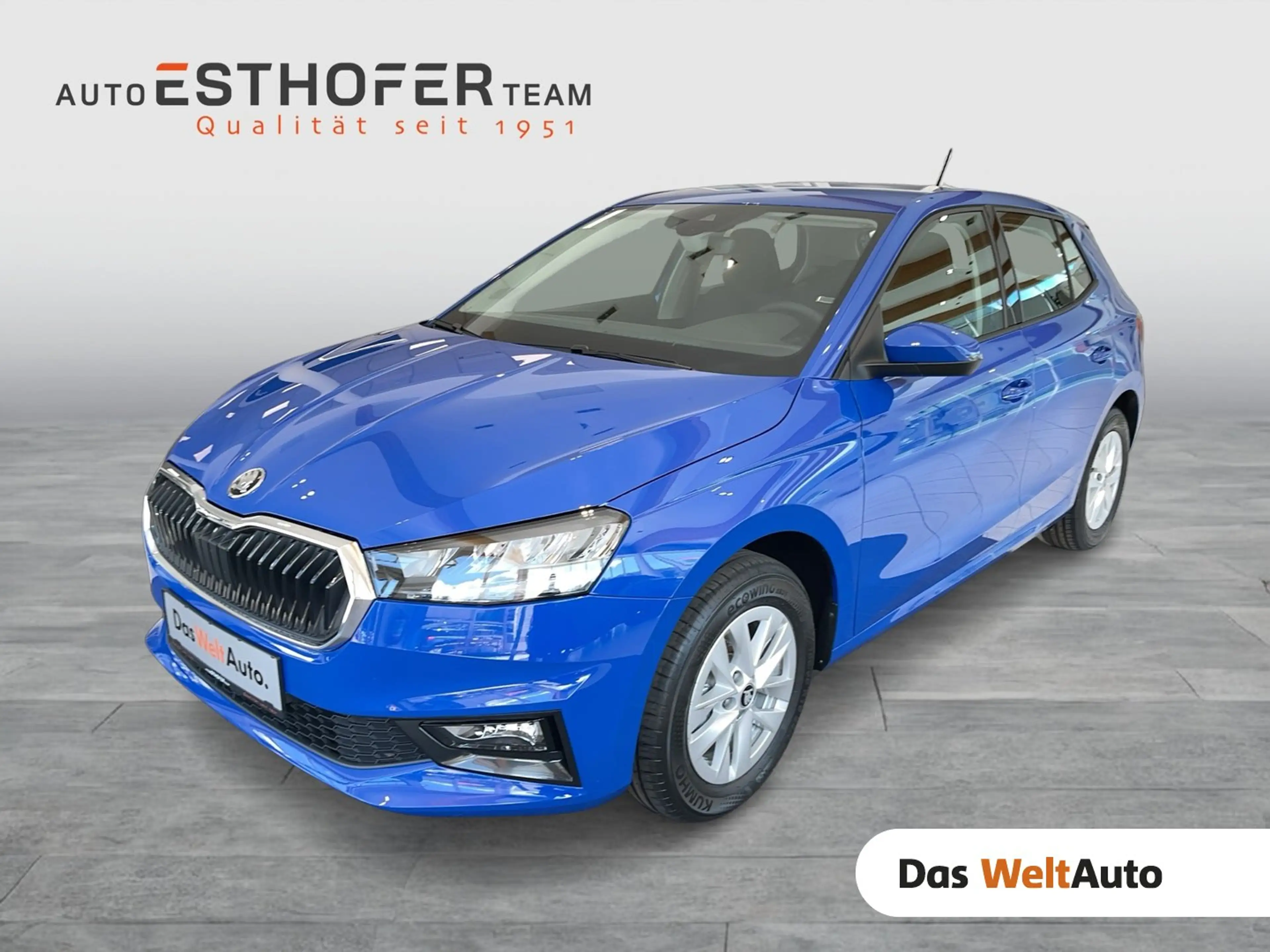 Skoda Fabia Selection