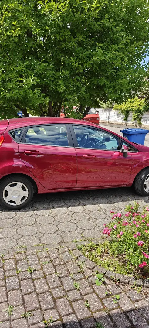 Ford Fiesta 1.6 TDCi Econetic Rot - 2