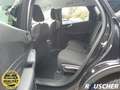 Ford Kuga 1.5 EcoBoost TITANIUM (DFK) Nero - thumbnail 10
