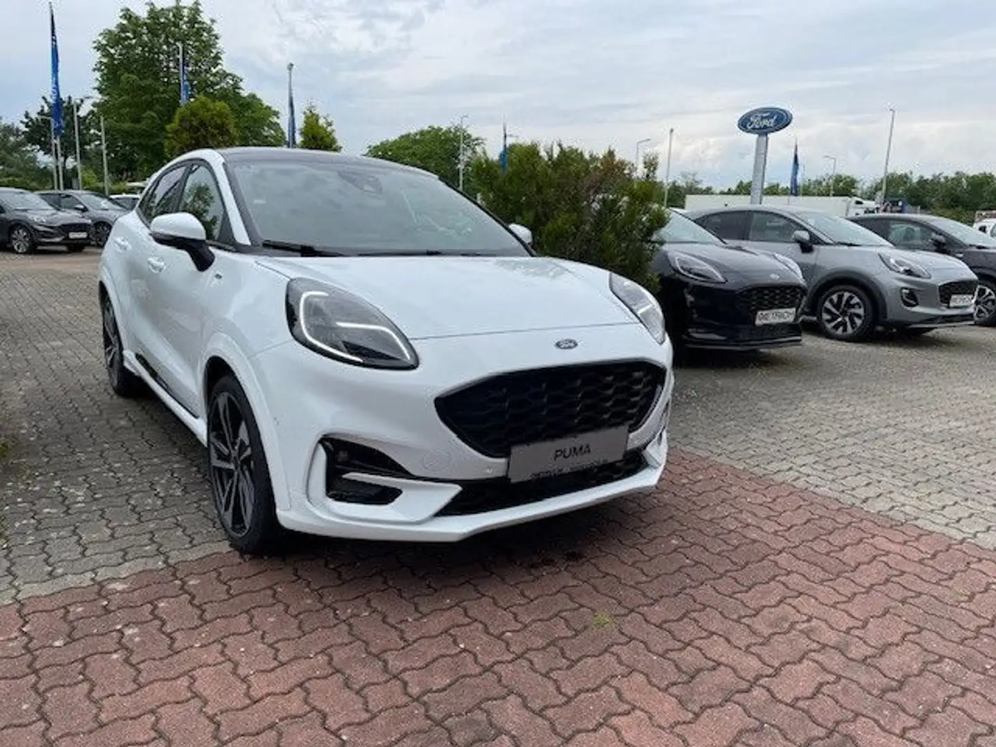 Ford Puma ST-Line X 155PS Autom. *ACC|19"|Pano|LED* Weiß - 1