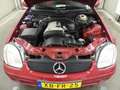 Mercedes-Benz SLK 200 Leer - Perfecte staat - NL auto! Rojo - thumbnail 17