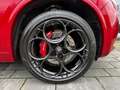 Alfa Romeo Stelvio Quadrifoglio Q4 AD El. Panodach Navi Leder Digital Rouge - thumbnail 9