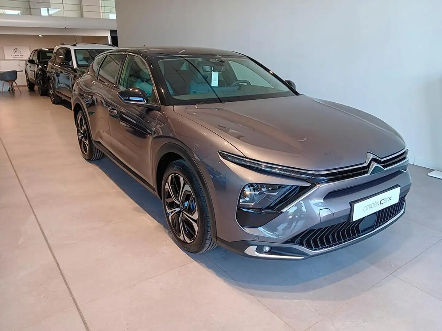 Citroen C5 X 1.2 Puretech Hybrid Plus eDCT6 135 Gris - 1