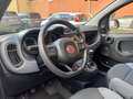 Fiat Panda Panda III  1.0 hybrid Easy s Grau - thumbnail 12