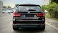BMW X5 xDrive40d Sport-Aut., Soft Close , HUD , AHK, STH Braun - thumbnail 3