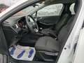 Renault Clio 1.0 tce Zen Gpl 100cv my21 Bianco - thumbnail 7