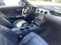 Ford Mustang ford mustang fastack 2.3 ecoboost cv 317 navigator Grigio - thumbnail 7
