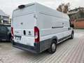 Fiat Ducato 33 2.3 officina mobile MJT 180CV PLM-TM Furgone Blanc - thumbnail 5