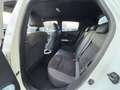 Nissan Juke 1.5 DCI 110CH N-VISION Blanc - thumbnail 10