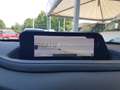 Mazda CX-30 CX-30 2.0 m-hybrid Executive 2wd 122cv 6mt Rosso - thumbnail 24