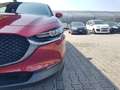 Mazda CX-30 CX-30 2.0 m-hybrid Executive 2wd 122cv 6mt Rosso - thumbnail 18