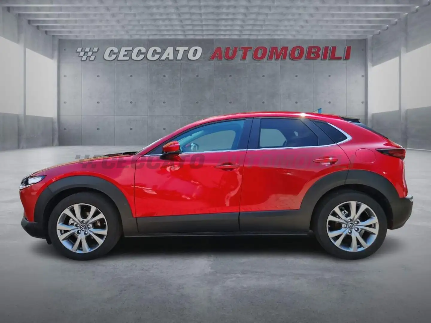 Mazda CX-30 CX-30 2.0 m-hybrid Executive 2wd 122cv 6mt Rosso - 2