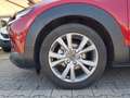 Mazda CX-30 CX-30 2.0 m-hybrid Executive 2wd 122cv 6mt Rosso - thumbnail 6