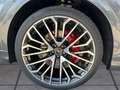 Audi Q8 50TDI Facelift/gr-sw/AHK/Mtx/Pan/4Z/23 Gold - thumbnail 5