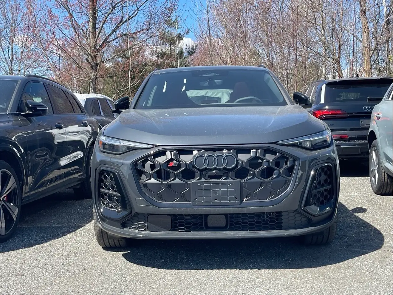 Audi SQ5 снимка Audi SQ5
