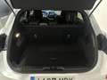 Ford Puma 1.0 EcoBoost MHEV 125cv ST-Line Weiß - thumbnail 10
