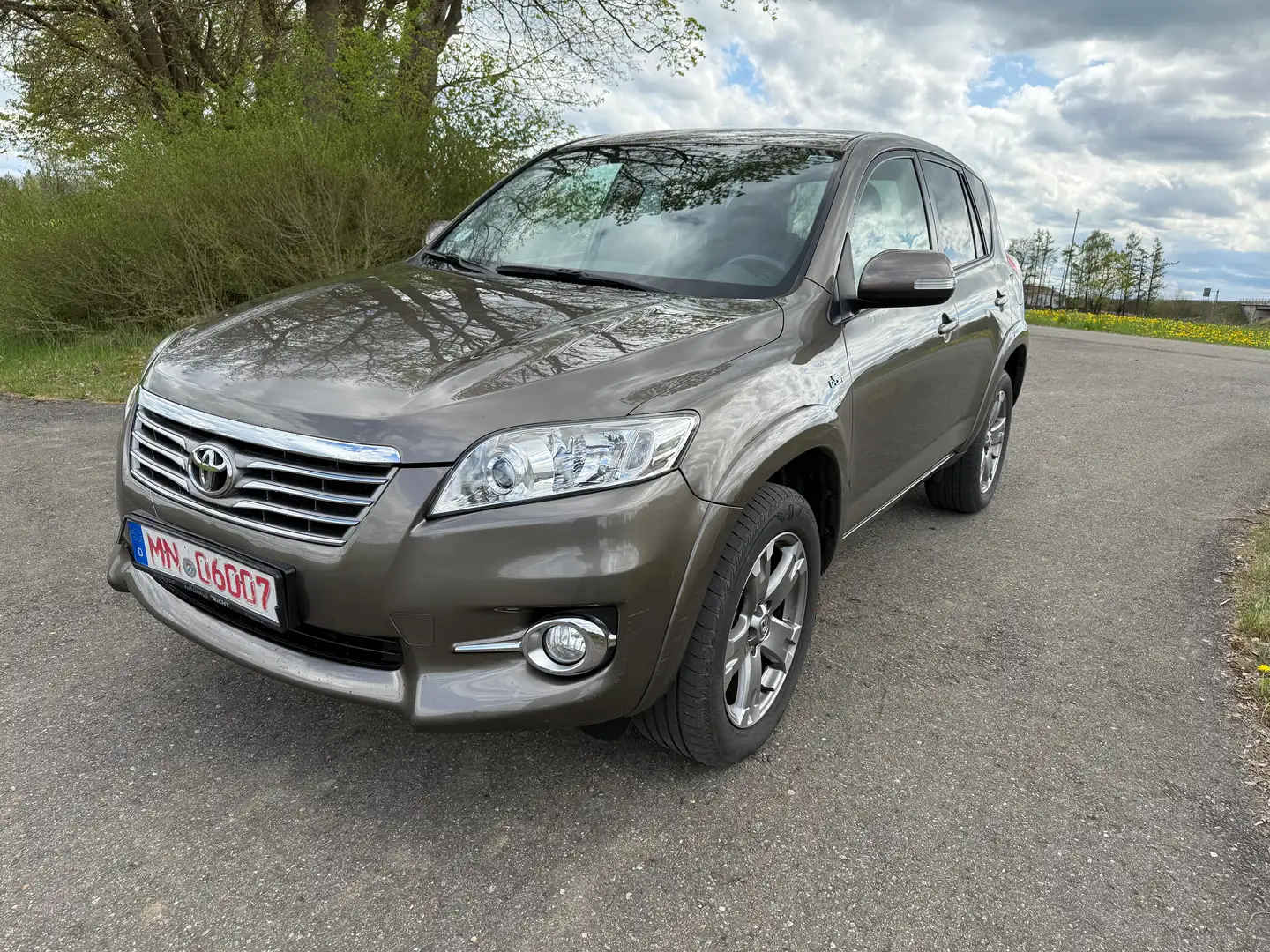 Toyota RAV 4 Executive Braun - 1