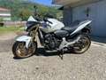 Honda Hornet - thumbnail 1