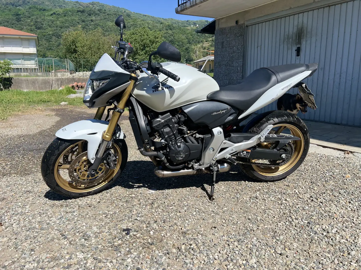 Honda Hornet - 1