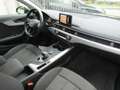Audi A4 A4 V Avant 40 2.0 tdi Business 190cv s-tronic my16 Nero - thumbnail 9