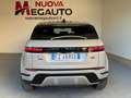 Land Rover Range Rover Evoque 2.0 D150 SE Grigio - thumbnail 6
