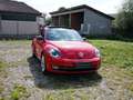 Volkswagen Beetle Remix-DSG-LED-PANO-TEMPOMAT-PDC Rot - thumbnail 1
