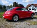 Volkswagen Beetle Remix-DSG-LED-PANO-TEMPOMAT-PDC Rot - thumbnail 6