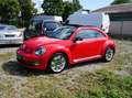 Volkswagen Beetle Remix-DSG-LED-PANO-TEMPOMAT-PDC Rot - thumbnail 4