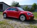 Volkswagen Beetle Remix-DSG-LED-PANO-TEMPOMAT-PDC Rot - thumbnail 2
