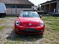 Volkswagen Beetle Remix-DSG-LED-PANO-TEMPOMAT-PDC Rot - thumbnail 3