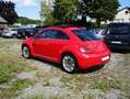 Volkswagen Beetle Remix-DSG-LED-PANO-TEMPOMAT-PDC Rot - thumbnail 8