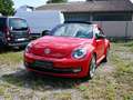 Volkswagen Beetle Remix-DSG-LED-PANO-TEMPOMAT-PDC Rot - thumbnail 5