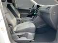 Volkswagen Tiguan 2.0 TSI DSG 4M LIFE MATRIX+NAVI+AHK+ACC Weiß - thumbnail 12