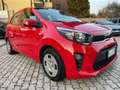 Kia Picanto Picanto 1.0 X Line Gpl IDONEA NEOPA. SENZA VINCOLI Rojo - thumbnail 4