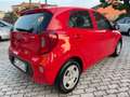 Kia Picanto Picanto 1.0 X Line Gpl IDONEA NEOPA. SENZA VINCOLI Rojo - thumbnail 6