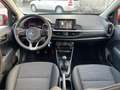 Kia Picanto Picanto 1.0 X Line Gpl IDONEA NEOPA. SENZA VINCOLI Rojo - thumbnail 16