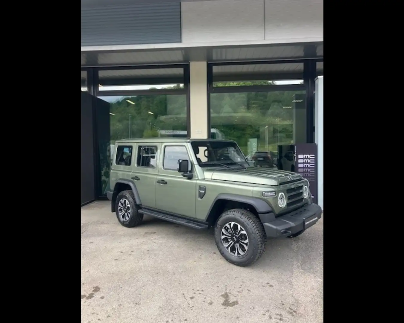 EMC Yudo Diesel 2.0 TDI 8AT 4WD 166cv Grün - 1