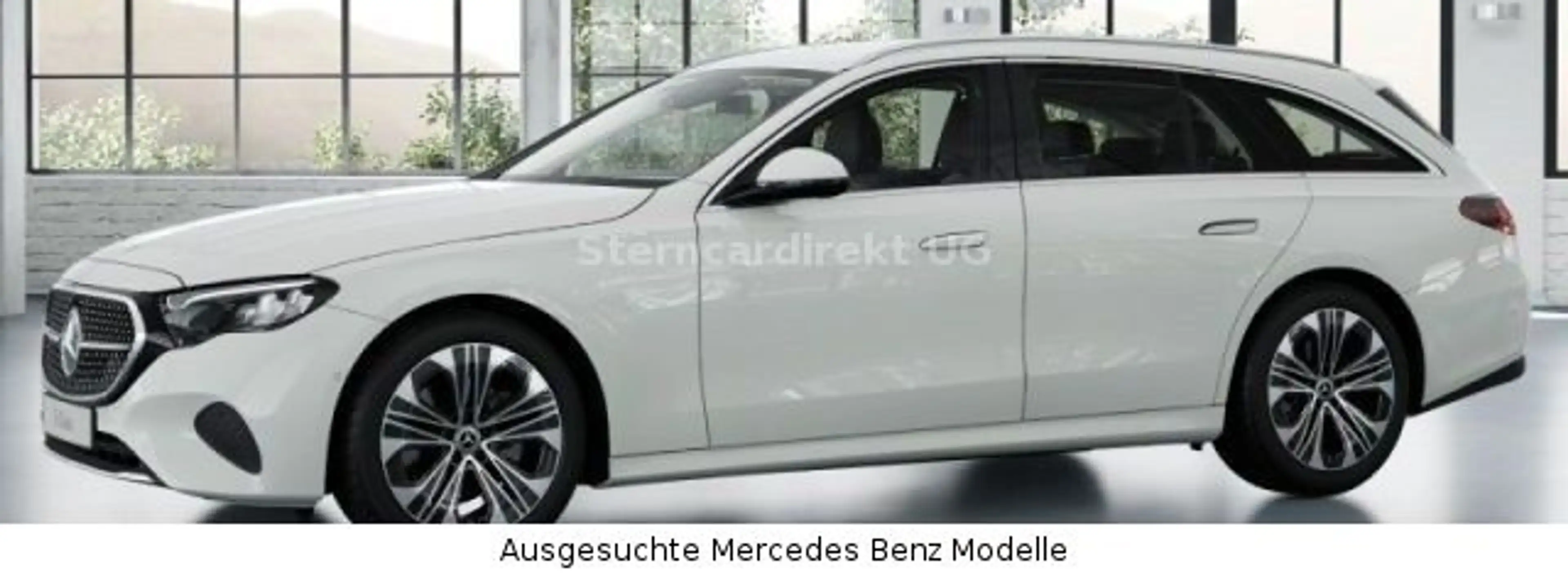Mercedes-Benz E 220 dt 4M Avantgarde AHK