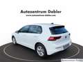 Volkswagen Golf VIII 1.5 TSI Life LED PDC Klimatronic EURO6 Weiß - thumbnail 7