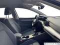 Volkswagen Golf VIII 1.5 TSI Life LED PDC Klimatronic EURO6 Weiß - thumbnail 10