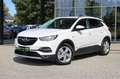 Opel Grandland X 1.6 Turbo Hybrid 4 Elegance LED+Navi Blanco - thumbnail 2