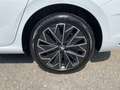 Skoda Scala Scala 1.0 TSI 115 CV DSG Style Bianco - thumbnail 10