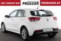 Kia Rio SILBER 1.2 MPI KLIMAAUTOMATIK KAMERA 16ZOLL Weiß - thumbnail 6